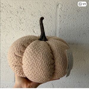 Cozy Tan Knit Pumpkin Decor